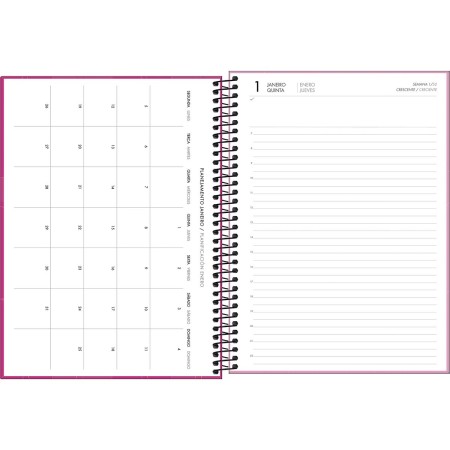Foto ilustrativa Agenda Executiva Espiral Diária 20 x 27,5 cm Spot Feminina 2026