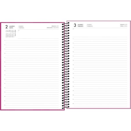 Foto ilustrativa Agenda Executiva Espiral Diária 20 x 27,5 cm Spot Feminina 2026