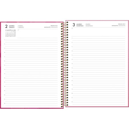 Foto ilustrativa Agenda Executiva Espiral Diária 20 x 27,5 cm Spot Feminina 2027