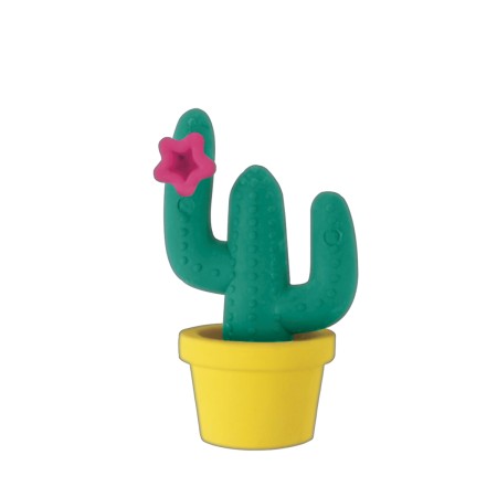 Foto ilustrativa Borracha Cactus