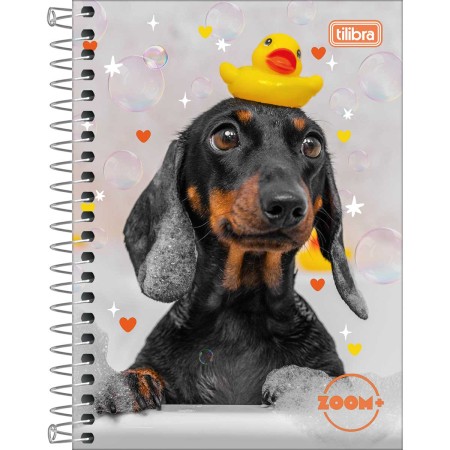 Foto ilustrativa Caderneta Espiral Capa Dura 1/8 Zoom+ 96 Folhas