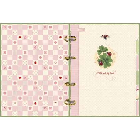 Foto ilustrativa Caderno Argolado Cartonado Colegial Scarlet 80 Folhas