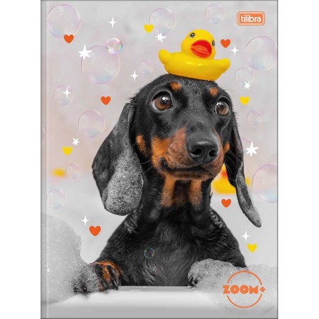 Foto ilustrativa Caderno Brochura Capa Dura Universitário Zoom+ Feminino 48 Folhas