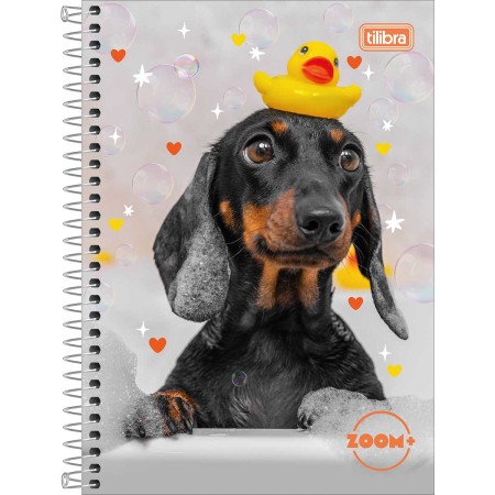Foto ilustrativa Caderno Espiral Capa Dura 1/4 Zoom+ Feminino 200 Folhas