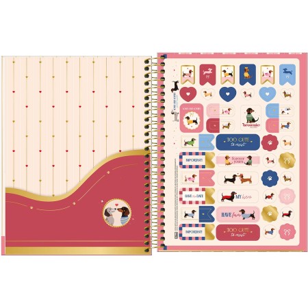 Foto ilustrativa Caderno Espiral Capa Dura Colegial 1 Matéria Brownie 60 Folhas