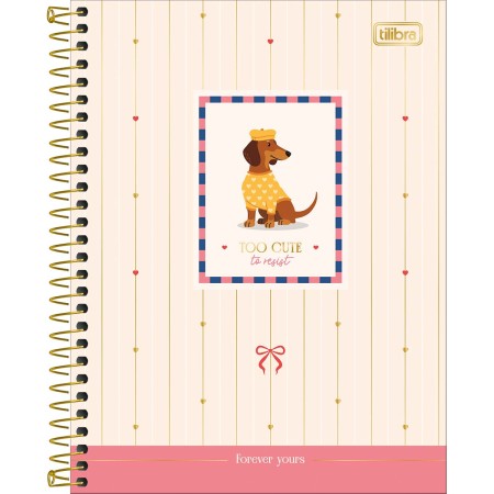 Foto ilustrativa Caderno Espiral Capa Dura Colegial 10 Matérias Brownie 120 Folhas