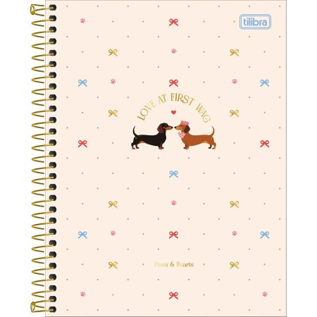 Foto ilustrativa Caderno Espiral Capa Dura Colegial 10 Matérias Brownie 120 Folhas