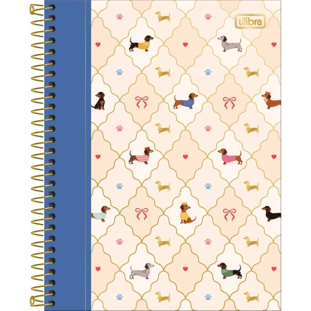 Foto ilustrativa Caderno Espiral Capa Dura Colegial 10 Matérias Brownie 120 Folhas