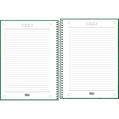 Foto ilustrativa Caderno Espiral Capa Dura Universitário 15 Matérias Palmeiras 240 Folhas