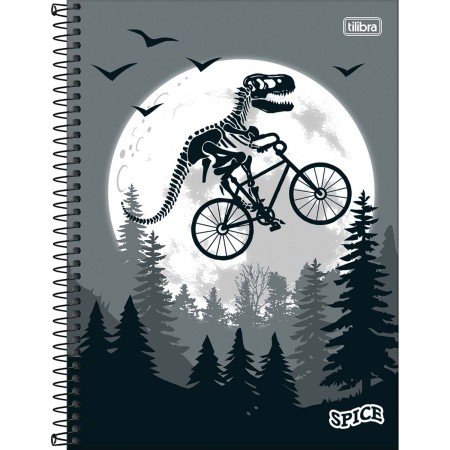 Foto ilustrativa Caderno Espiral Capa Dura Universitário 15 Matérias Spice Masculino 240 Folhas