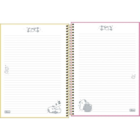 Foto ilustrativa Caderno Espiral Capa Dura Universitário 16 Matérias Capyclub 256 Folhas