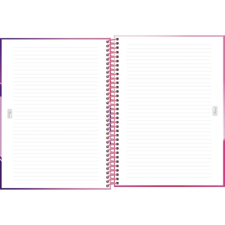 Foto ilustrativa Caderno Espiral Capa Dura Universitário 2 em 1 Emilly Vick 160 Folhas
