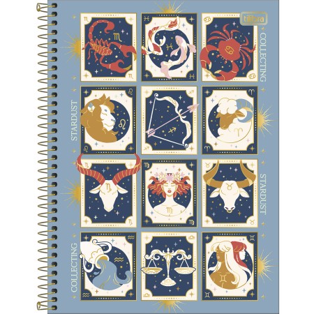 Foto ilustrativa Caderno Espiral Capa Dura Universitário Connect 1 Matéria Magic 80 Folhas