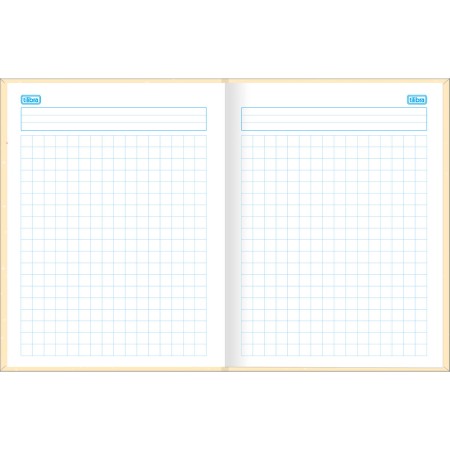 Foto ilustrativa Caderno Quadriculado 1x1 cm Brochura Capa Dura Princesas 40 Folhas