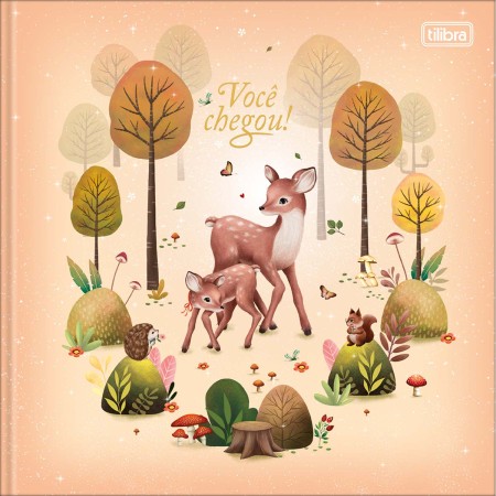 Foto ilustrativa Diário do Bebê