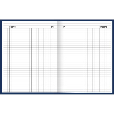 Foto ilustrativa Livro Caixa Capa Dura Grande 100fls