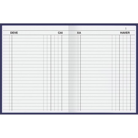 Foto ilustrativa Livro Caixa Capa Dura Pequeno 100 Folhas