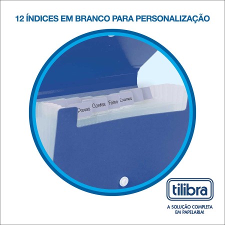 Foto ilustrativa Pasta Sanfonada Polipropileno A4 12 Divisões Color Azul