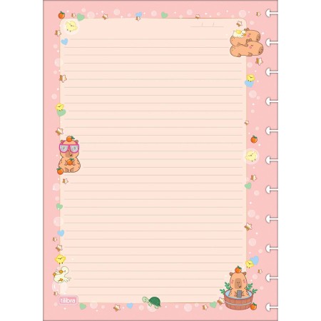 Foto ilustrativa Refil para Tilidisco Universitário Capyclub 50 Folhas 90 Gramas