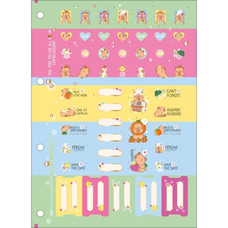 Foto ilustrativa Refil Tiliflex para Caderno Argolado Universitário Capyclub 80 Folhas