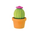 Foto ilustrativa Borracha Cactus