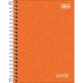 Foto ilustrativa Caderneta Espiral Capa Dura 1/8 Lunix 80 Folhas