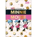 Foto ilustrativa Caderno Brochura Capa Dura 1/4 Minnie 80 Folhas