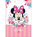 Foto ilustrativa Caderno Brochura Capa Dura 1/4 Minnie 80 Folhas