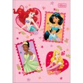 Foto ilustrativa Caderno Brochura Capa Dura 1/4 Princesas 80 Folhas