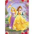 Foto ilustrativa Caderno Brochura Capa Dura 1/4 Princesas 80 Folhas