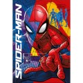 Foto ilustrativa Caderno Brochura Capa Dura 1/4 Spider-Man 80 Folhas