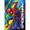 Foto ilustrativa Caderno Brochura Capa Dura 1/4 Spider-Man 80 Folhas