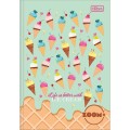 Foto ilustrativa Caderno Brochura Capa Dura 1/4 Zoom+ Feminino 96 Folhas