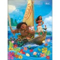 Foto ilustrativa Caderno Brochura Capa Dura Universitário Moana 80 Folhas