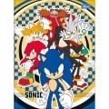 Foto ilustrativa Caderno Brochura Capa Dura Universitário Sonic 48 Folhas