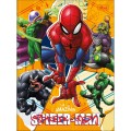 Foto ilustrativa Caderno Brochura Capa Dura Universitário Spider-Man 48 Folhas