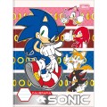 Foto ilustrativa Caderno de Caligrafia Brochura Capa Dura Universitário Sonic 40 Folhas