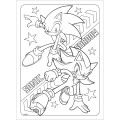 Foto ilustrativa Folhas de Adesivos para Colorir Sonic