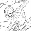 Foto ilustrativa Folhas de Adesivos para Colorir Spider-Man