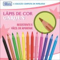 Foto ilustrativa Lápis de Cor Flores 12 Cores Sextavado