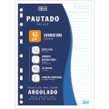 Foto ilustrativa Refil Tiliflex com Furação Universal para Caderno Argolado Universitário 96 Folhas Soltas
