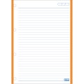 Foto ilustrativa Refil Tiliflex Tarjado para Caderno Argolado Universitário 96 Folhas